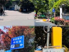 -杭州半山国家森林公园