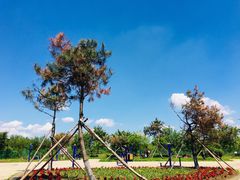 -丁香湖公园
