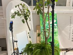 -白噪音White Noise·798概念店