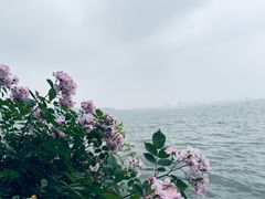 -西湖游船