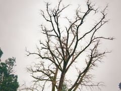 -金堂县云顶石城风景区