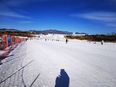 -华彬猛犸滑雪场