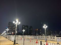 -野狸岛
