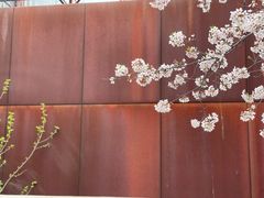 -龙美术馆(西岸馆)