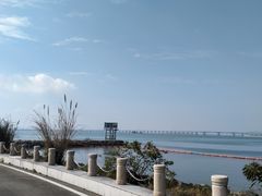 -芒洲湿地公园