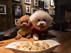 -百好乐宠物友好餐厅(朝外大街店)