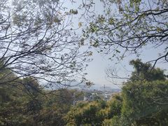 -云洞岩风景区