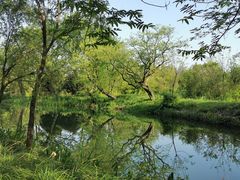 -西溪国家湿地公园