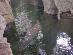 -青青世界