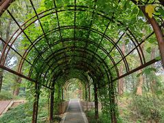 -国家植物园南园