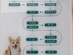 -瑞派康怡24h宠物医院·犬猫医疗中心·微创绝育(瑞景分院)
