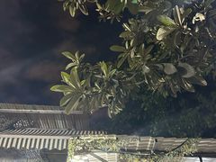 -同心烧烤(总店)