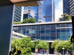 -金戈戈香港豉油鸡(皇庭广场店)