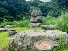 -济州森林小火车生态公园