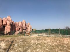 -鄂尔多斯野生动物园