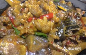 Turtle and Bull Penis Hot Pot (Large Pot)