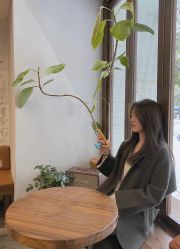 -Y-STUDIO原理