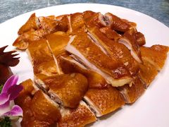 咸香鸡-金苑海鲜酒家(来魅力店)