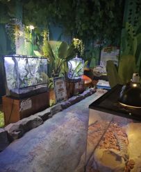 点击看大图 -酷嗒动物文化乐园(cutezoo西溪乐天城店)