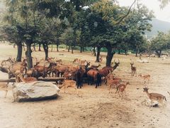 -西安秦岭野生动物园