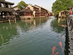 -乌镇西栅景区