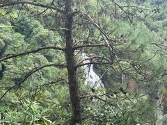 -九鲤湖风景区