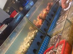 -鹿客臻鲜海鲜自助餐厅(永旺店)