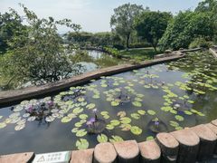 -广州莲花山旅游区