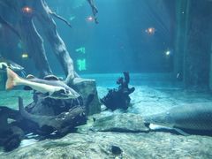 -华夏文旅海洋公园