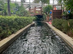 -南宫五洲植物乐园