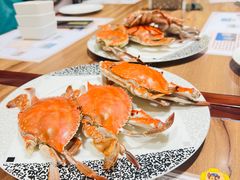 -海中洲国际大酒店-自助餐厅