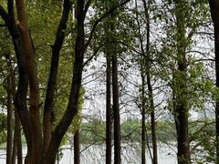 -菱湖风景区