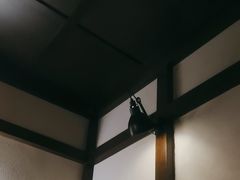 -本寻烧肉酒场(双井店)