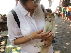 -黄桷坪涂鸦艺术街