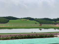 -迪茵湖田家舍生态农场