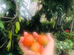 -泸州唯逸酒店(大山坪警察学院店)