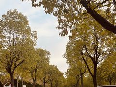 -大蜀山国家森林公园