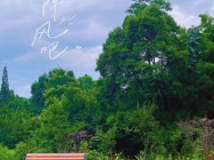 -天花井景区
