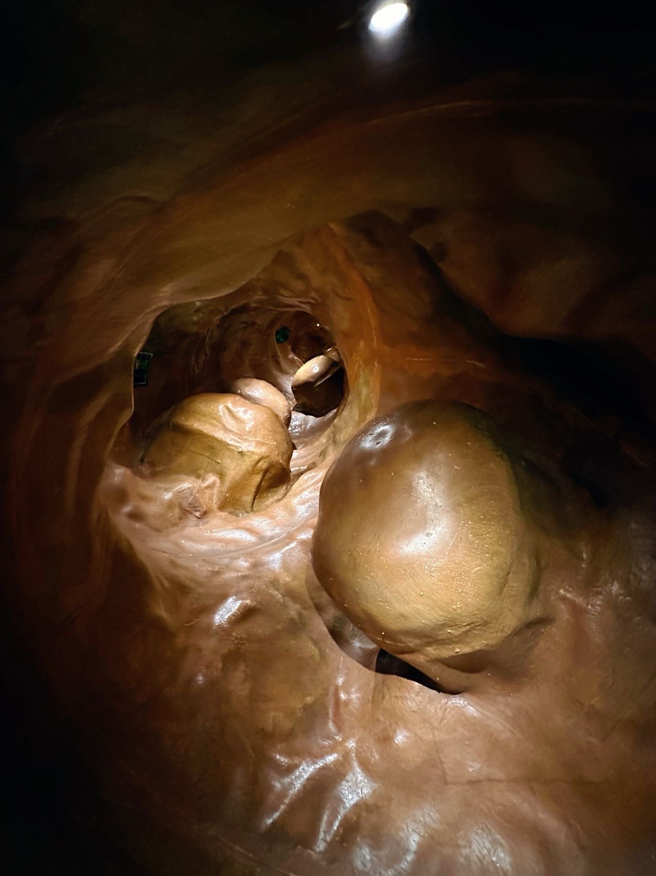 在厦门,果然大城市这个真的好有意思