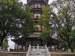 -绳金塔