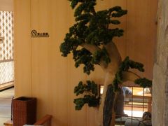 -文三酒肆自助放题(新街口友谊广场店)