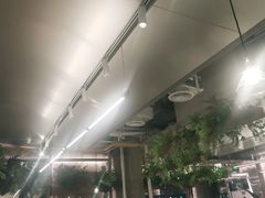 -老乡鸡(上海白玉兰广场店)