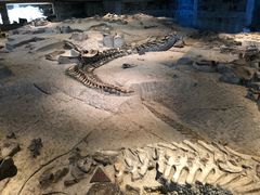 -自贡恐龙博物馆