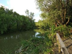 -新江湾城公园