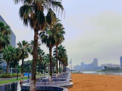 -金沙湖公园
