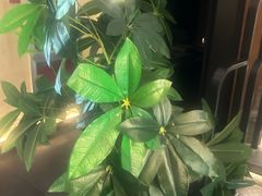 -新紫霞养生·影院足道·SPA(金山区店)