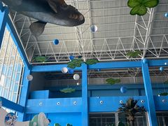 -泉城欧乐堡海洋极地世界