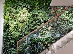 -Peet's Coffee皮爷咖啡(大学路店)