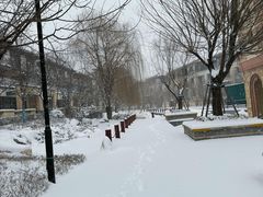 -长白岛森林公园