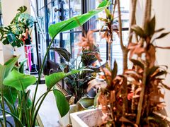 -Fridi Patisserie Cafe